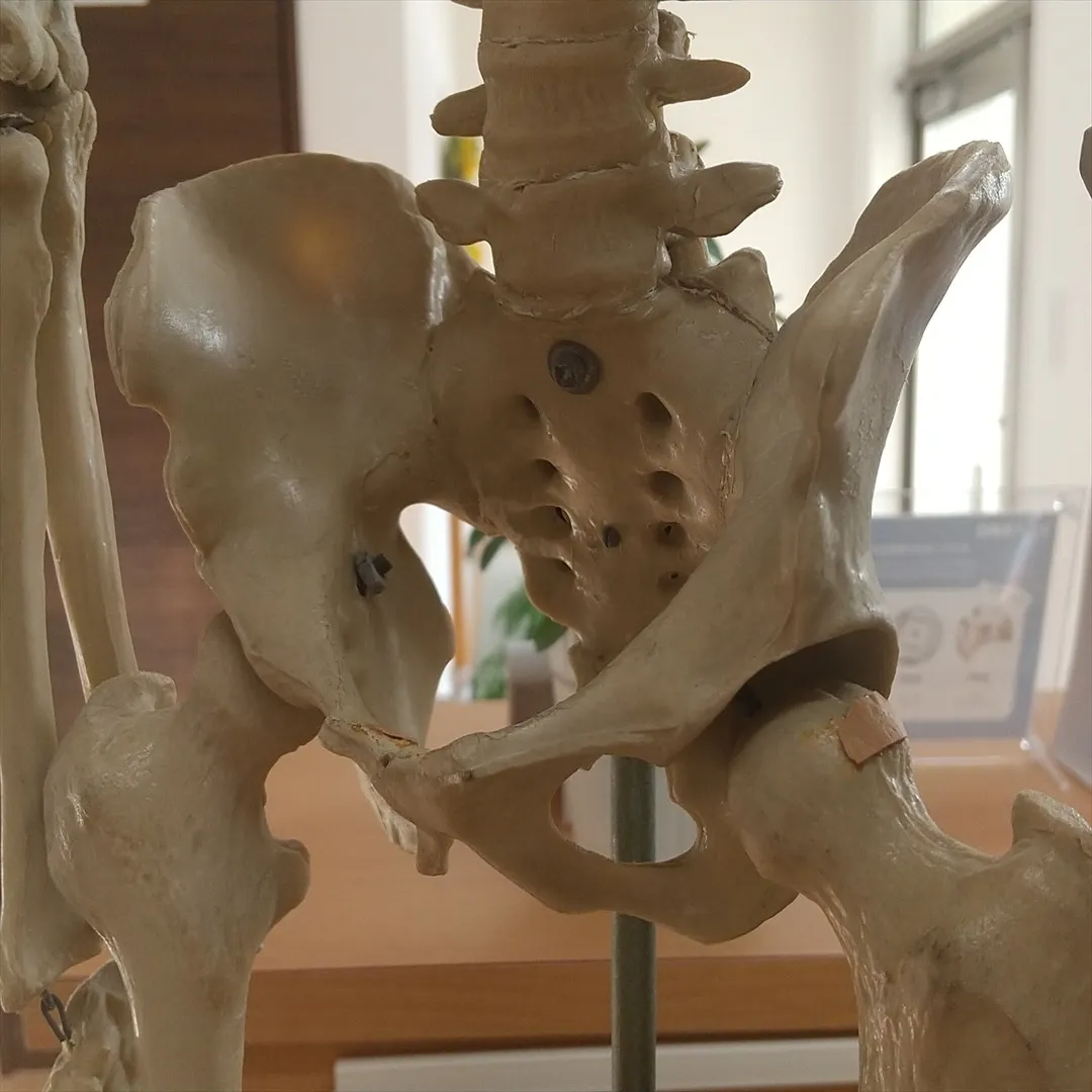 産後骨盤矯正で腰痛を根本改善